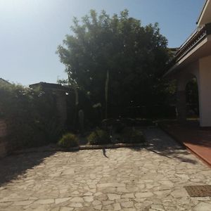 B&B Dei Girasoli